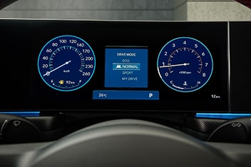 performance detail