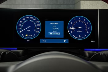 performance detail