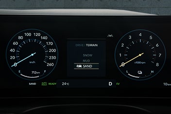 performance detail